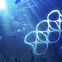 The Ocean Clean Up