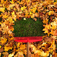 Time To Rake Leaves Here In The Midwest!