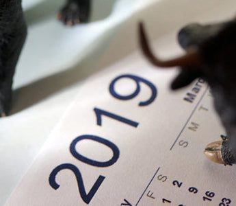 Your Business, the Stock Market, and Your Future