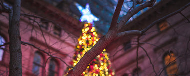 Navigating the 2024 Holiday Selling Season: Maximize Every Client Interaction for Success!