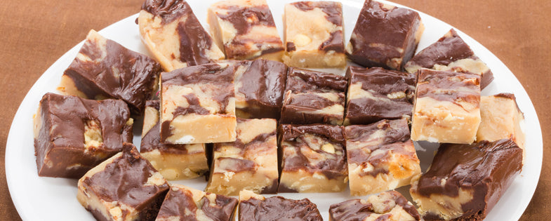 peanut butter and chocolate fudge on a white plate